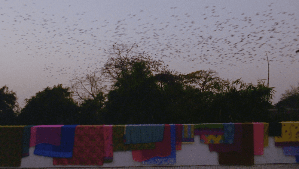 Targowisko osobliwości