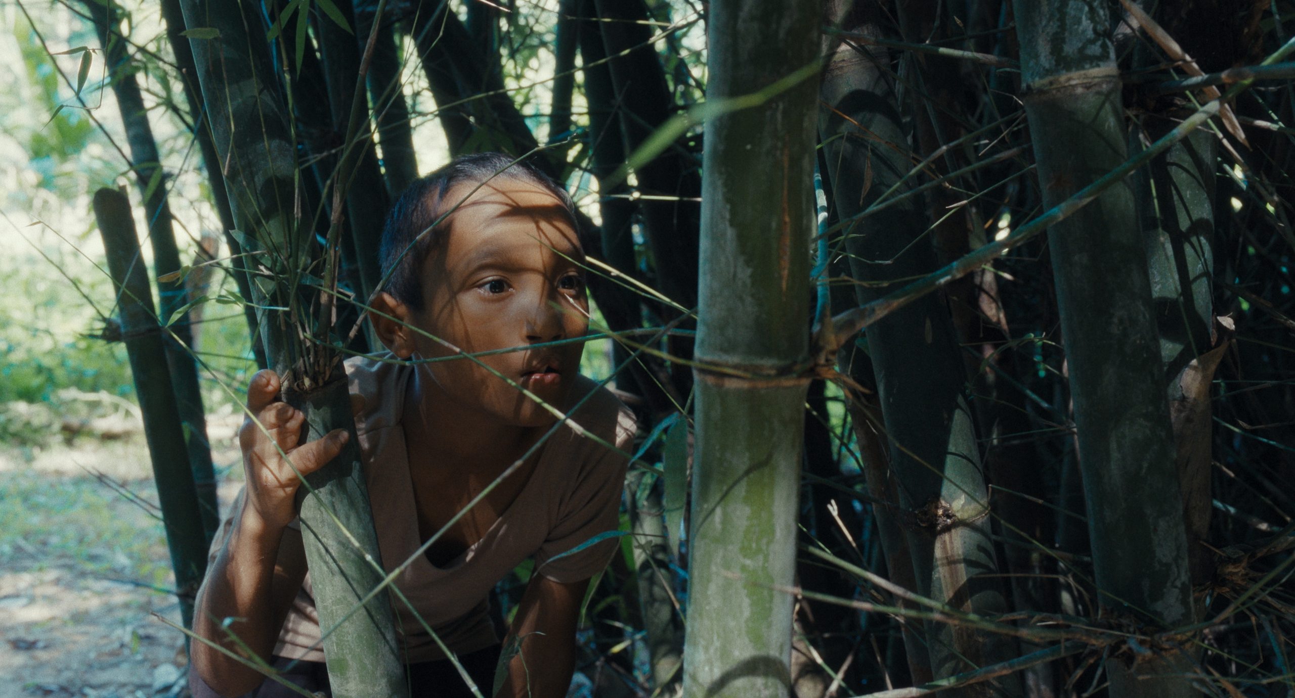 fot. „Wzmożenie”