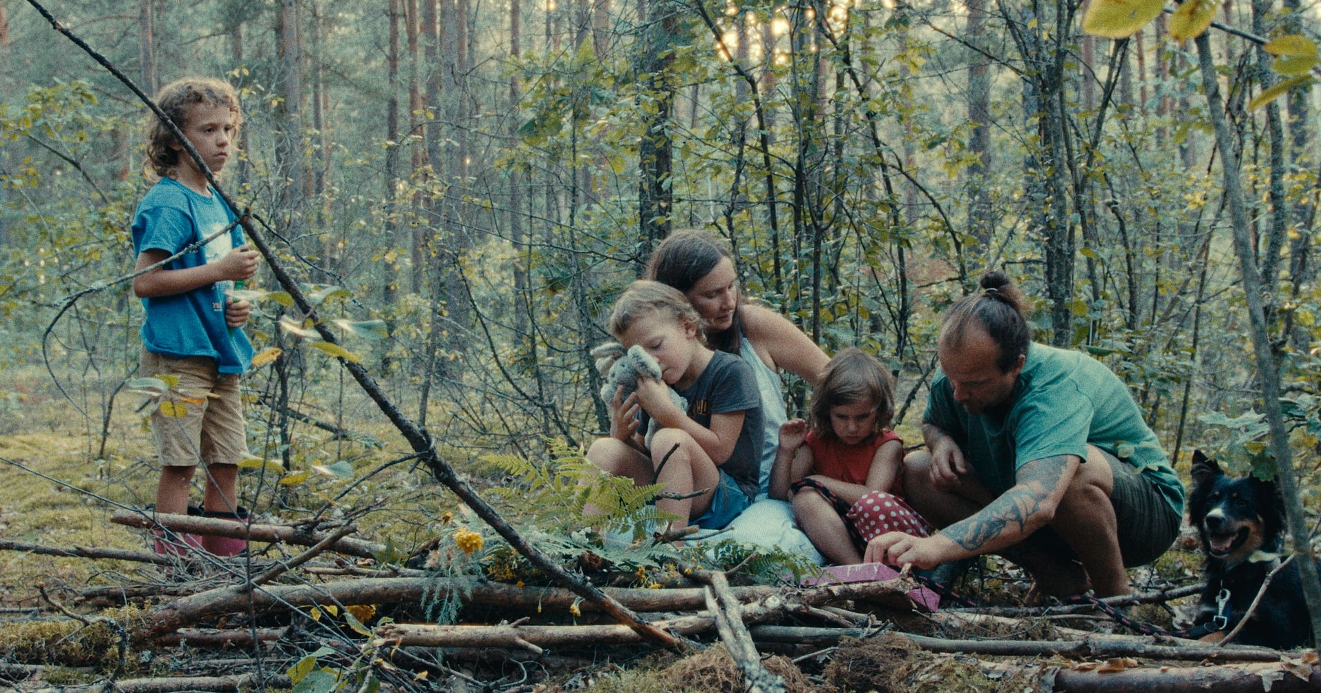 kadr z filmu "Las" / mat. prasowe Millennium Docs Against Gravity