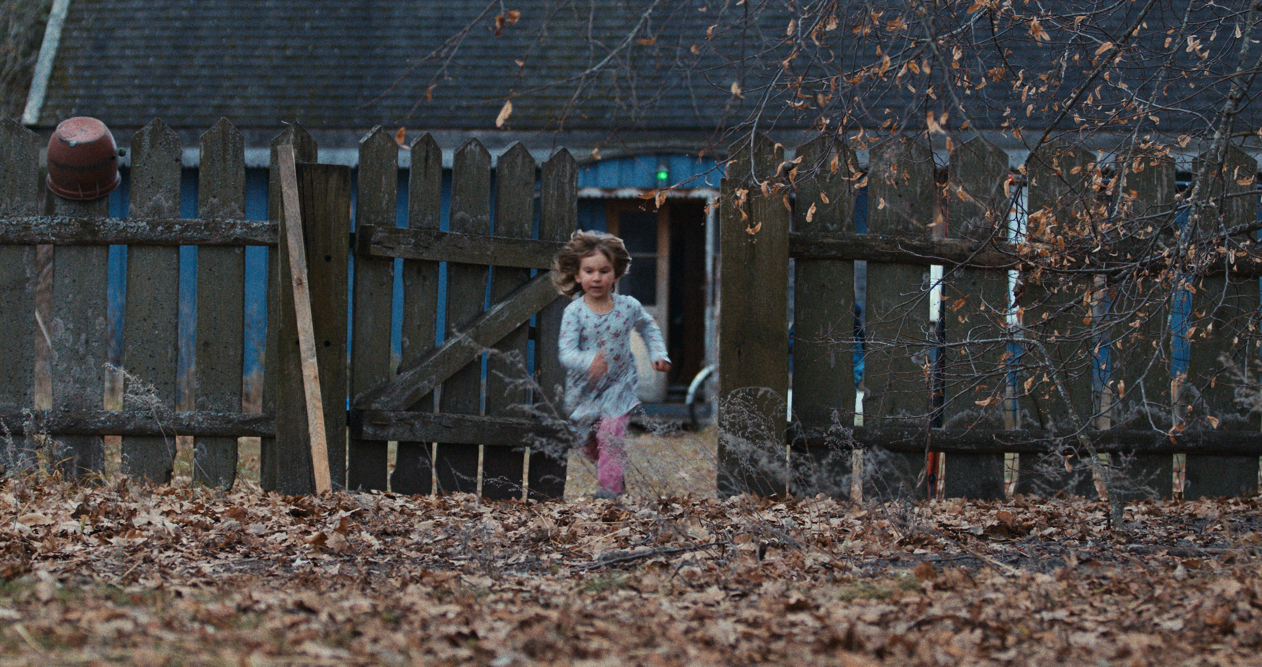 kadr z filmu "Las" / mat. prasowe Millennium Docs Against Gravity