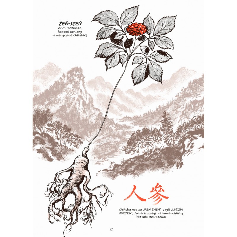 Żeń-szeń. Zgniłe korzenie recenzja