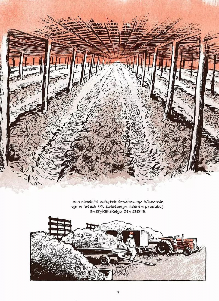 Żeń-szeń. Zgniłe korzenie recenzja