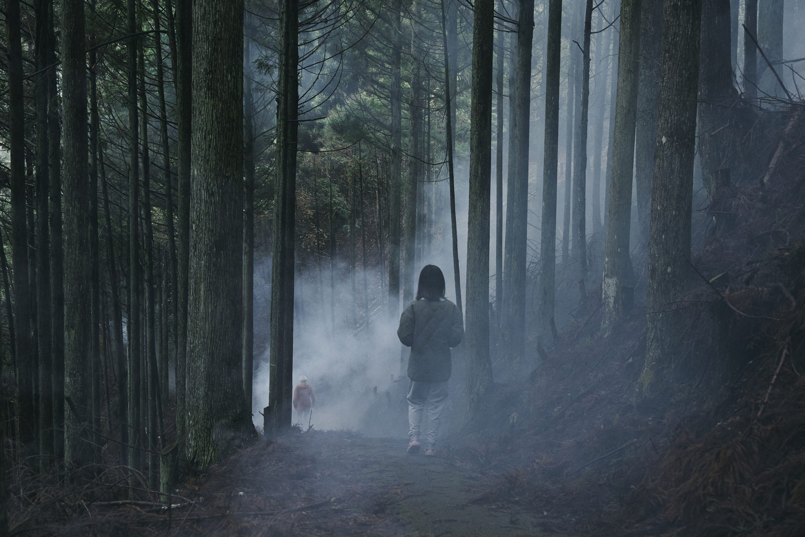 fot. „Mgliście” / materiały prasowe Azjatyckiego Festiwalu Filmowego Pięć Smaków