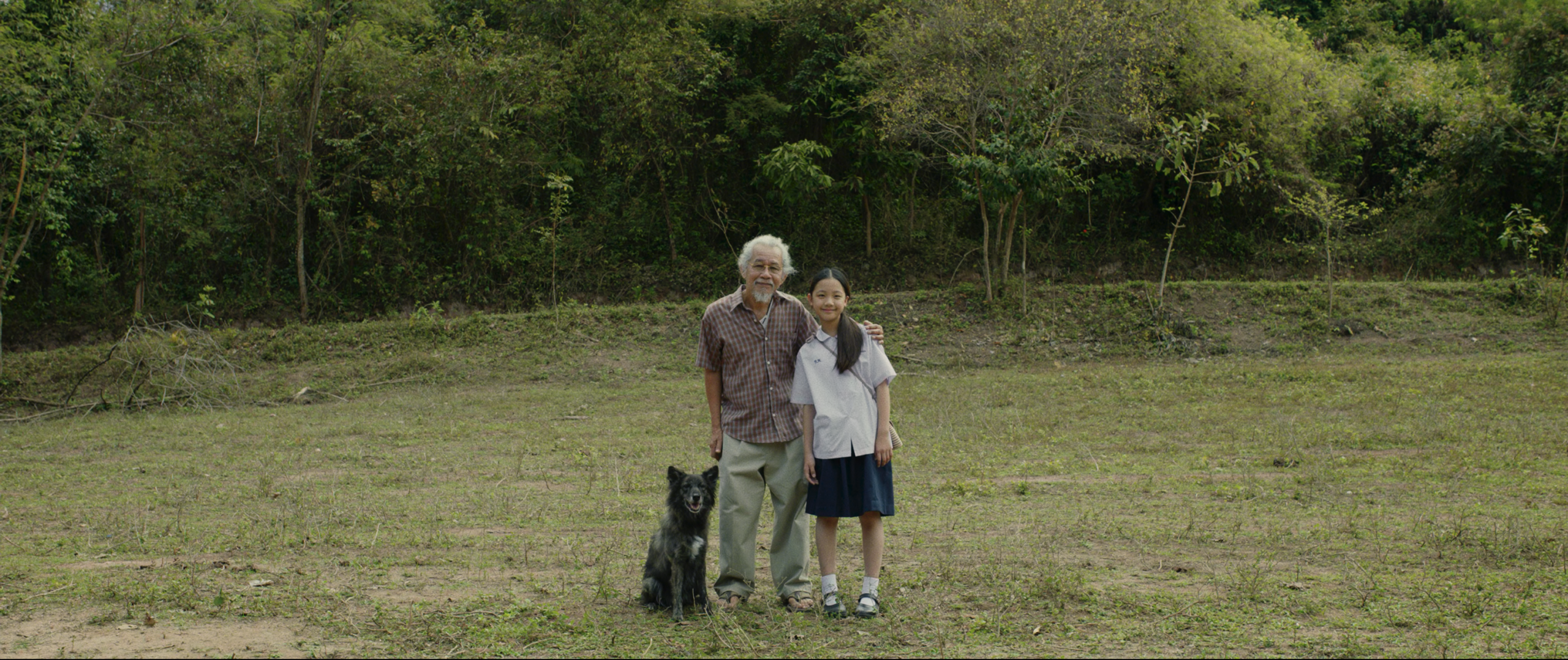 Świt pełen żalu (2024) Plakat