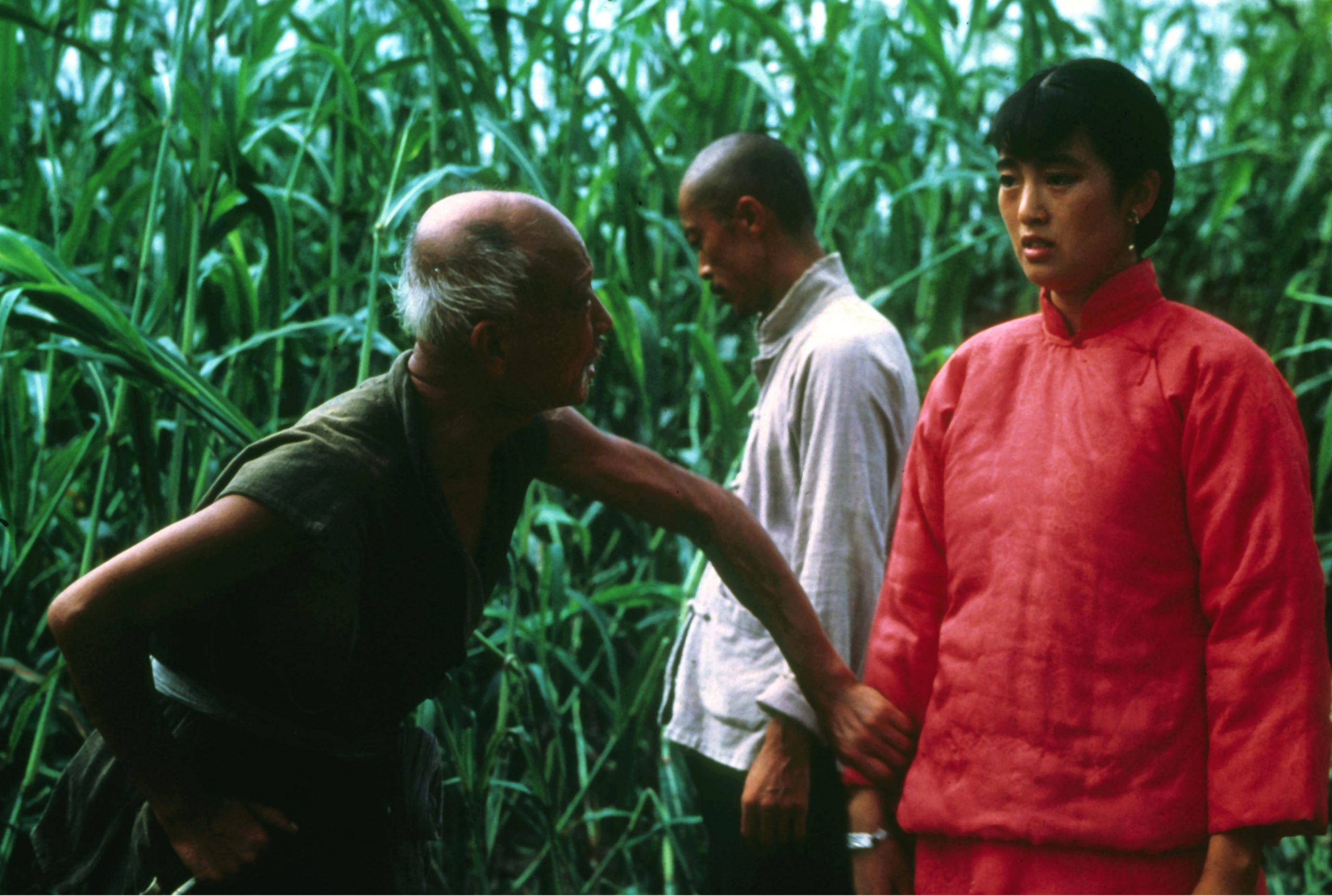 Kadr z filmu „Czerwone sorgo”