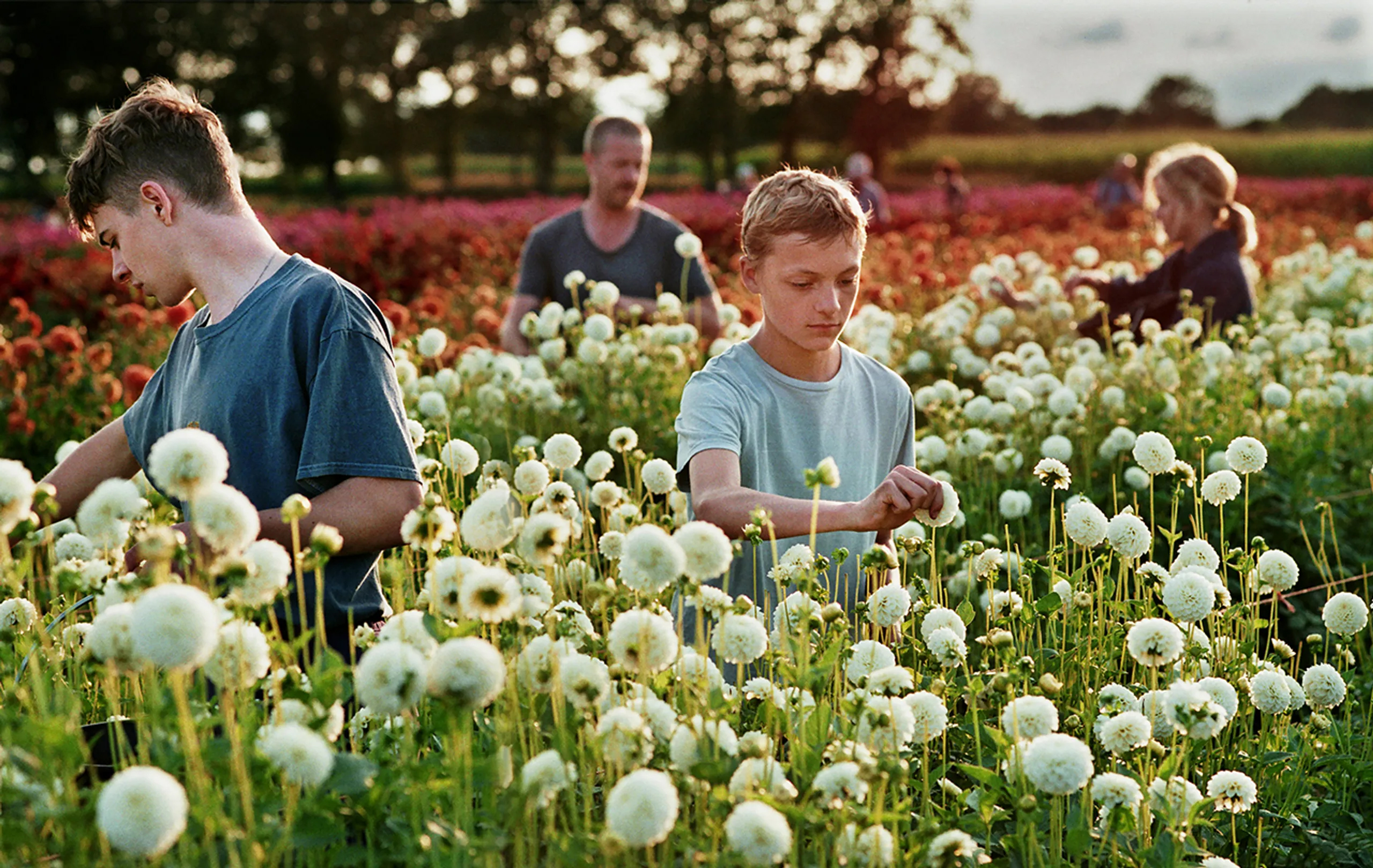 Bohaterowie filmu „Blisko”