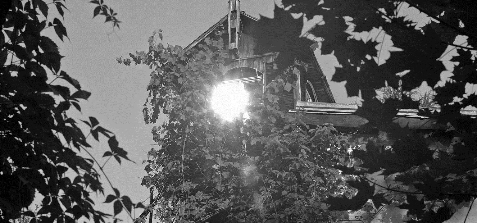 „Dokąd umierają malarze”