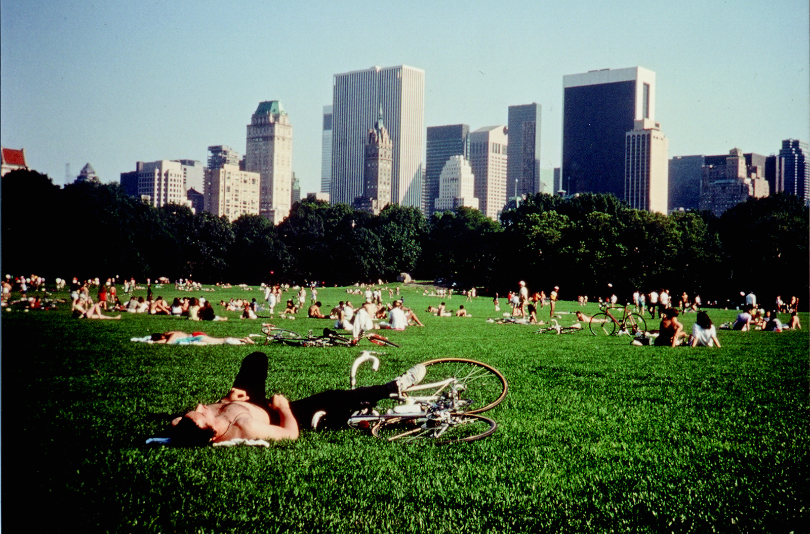 central park film